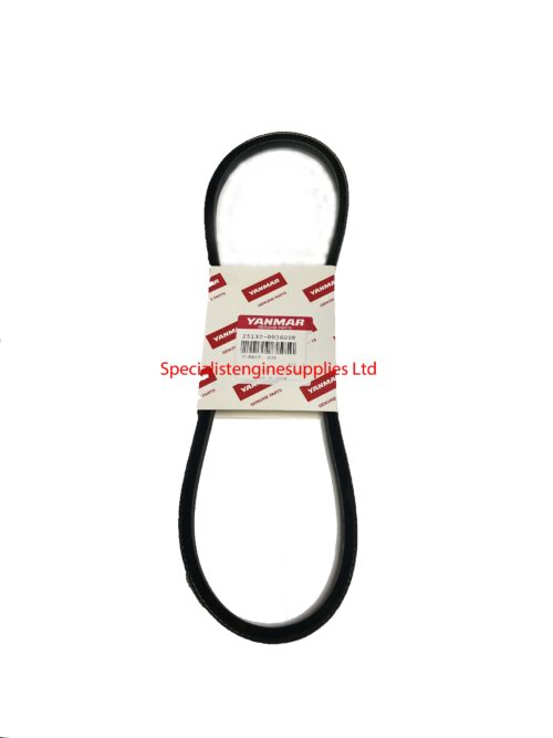 Genuine Yanmar Fan Belt for 3TNV70/2TNV70 - 25132-003600