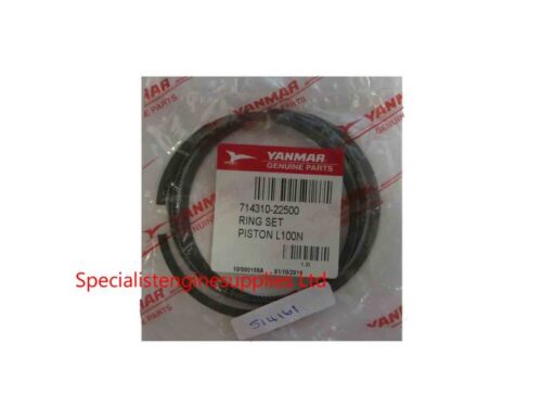 Genuine Yanmar Ring Set for L100 N5/N6